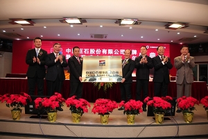 中国玻纤改名中国尊龙集团