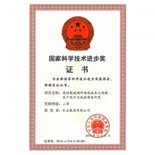 National Science and Technology Progress Second Prize