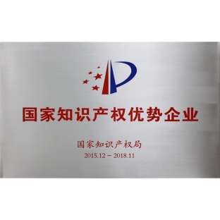 National Intellectual Property Advantage Enterprise